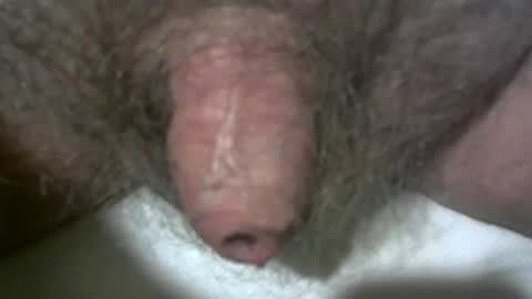 peterpeteropoulos online show from February 2025 09:48:01 PM