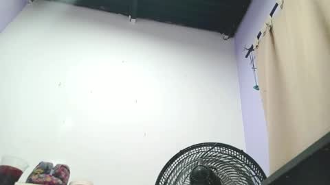 Snapshot of petiteivoryqueen chatting on January 2025 04:28:02 AM danna online show from January 2025 04:28:02 AM