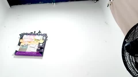 Snapshot of petiteivoryqueen chatting on November 2025 04:01:01 AM danna online show from November 2025 04:01:01 AM