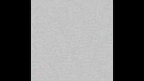 peytonn_monroe online show from October 2025 11:41:02 AM