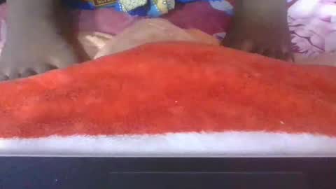 phania185885 online show from April 2026 05:03:01 PM