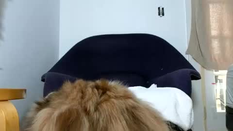 TheSkyeWoods online show from December 2024 05:52:01 PM