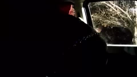 phillipdee online show from February 2026 10:03:02 AM