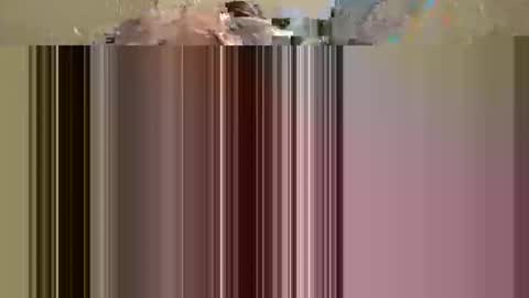 phoenixwap online show from December 2024 01:30:02 PM
