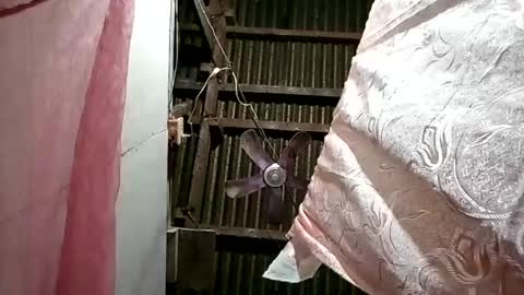 pinaybobs online show from March 2026 08:48:01 PM