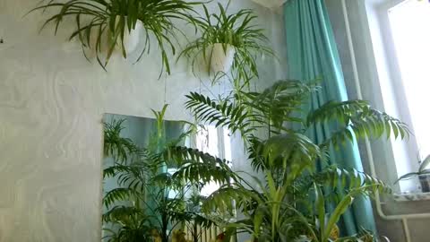 Tatyana online show from February 2026 05:34:02 AM