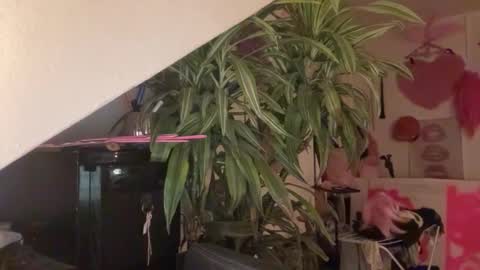 pinkfag online show from March 2026 05:57:02 PM