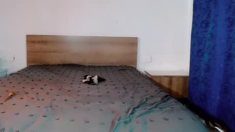 Pamela Ston online show from April 2026 04:24:02 PM