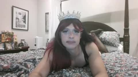 pinkpillbambi online show from August 2026 09:19:02 AM