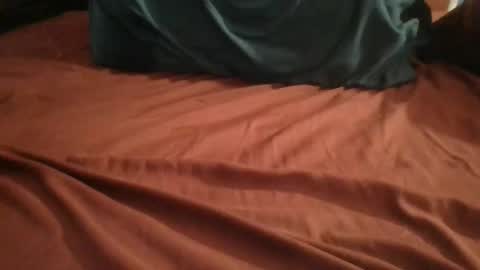 Plague Cockter online show from February 2026 05:49:01 AM