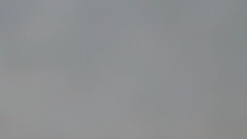 Snapshot of playboypetit chatting on January 2025 09:41:01 PM playboypetit online show from January 2025 09:41:01 PM