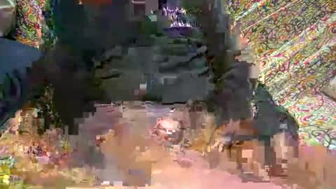 pliniowb online show from October 2025 07:25:02 PM