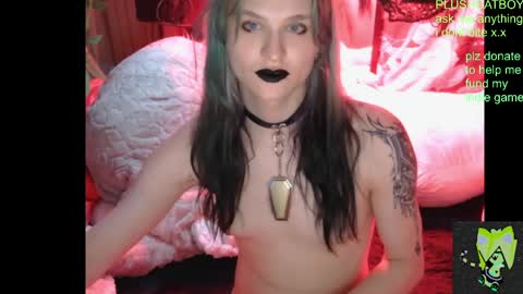 Snapshot of plushcatboy chatting on April 2026 04:08:02 AM plushcatboy online show from April 2026 04:08:02 AM