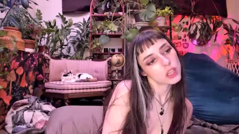 Snapshot of pluto_astrology chatting on February 2025 12:32:01 AM Goddess Pluto online show from February 2025 12:32:01 AM