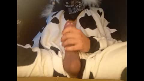 pocketrocketx online show from March 2026 02:19:01 AM