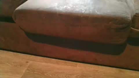 pokerfffface79 online show from February 2026 09:43:01 PM