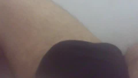 pol2023 online show from February 2026 12:41:01 PM