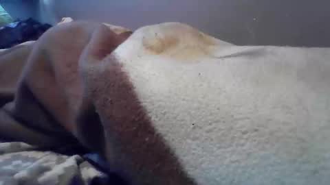 Snapshot of polishbigdick17 chatting on October 2025 06:04:02 AM polishbigdick17 online show from October 2025 06:04:02 AM