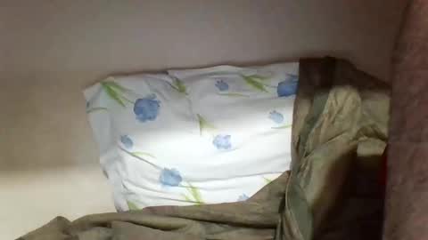 Snapshot of pollaa_19 chatting on May 2026 11:21:02 PM pollaa_19 online show from May 2026 11:21:02 PM