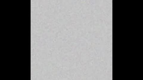 Polly online show from February 2026 08:35:02 AM