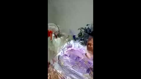 pompeche2 online show from March 2026 08:42:01 AM