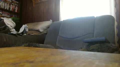 porkingit400 online show from March 2026 01:17:02 PM