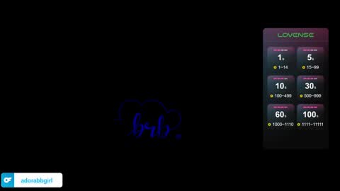 Snapshot of prettyadoraa chatting on February 2025 09:11:01 AM Adora online show from February 2025 09:11:01 AM