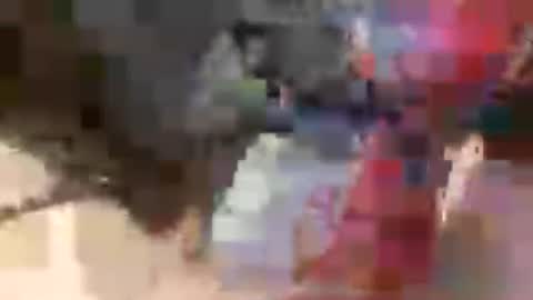 prettycock1981 online show from July 2026 09:49:01 AM