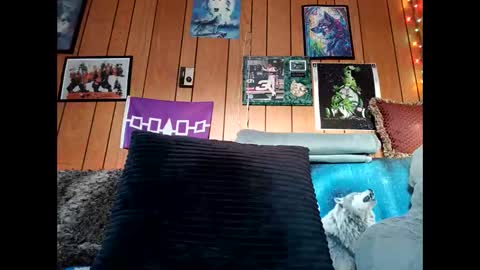 prettysolid7 online show from February 2026 12:58:02 PM