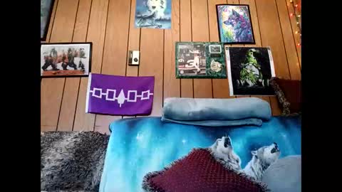 prettysolid7 online show from March 2026 04:31:01 PM