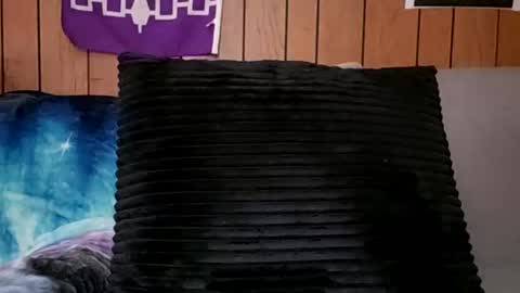 prettysolidd7 online show from February 2025 11:21:02 AM