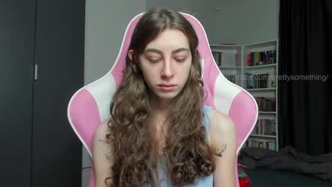 Snapshot of prettysomething chatting on May 2026 05:15:01 AM Sophie next stream will be at Monday i will wait you guys online show from May 2026 05:15:01 AM