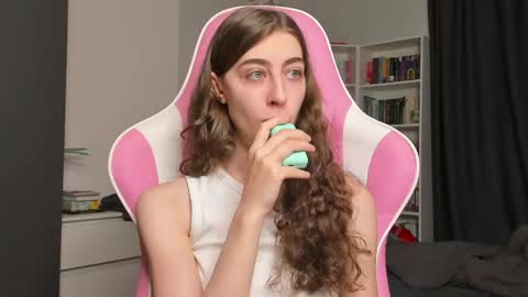 Snapshot of prettysomething chatting on May 2026 06:42:01 AM Sophie next stream will be at Monday i will wait you guys online show from May 2026 06:42:01 AM