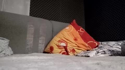 Snapshot of pretyboyl chatting on February 2025 12:27:01 AM chubbymmm online show from February 2025 12:27:01 AM