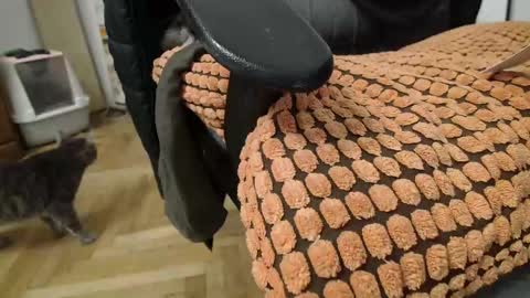 Prince Of Prague online show from March 2025 02:19:02 AM