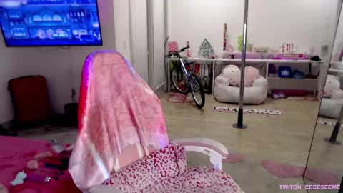 Cece  NEXT LIVESTREAM -- DEC. 4th  7 PM CST online show from April 2026 04:13:02 AM