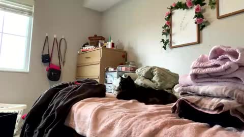 Snapshot of princessbaby525 chatting on May 2026 03:39:01 PM Sable online show from May 2026 03:39:01 PM