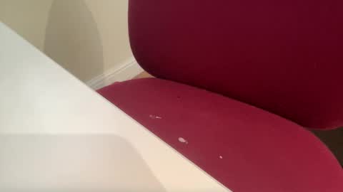 pritchj online show from March 2025 12:37:01 PM