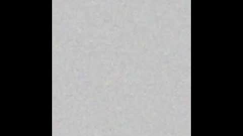 Snapshot of professorhushh chatting on November 2025 05:00:01 PM professorhushh online show from November 2025 05:00:01 PM