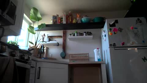 Properfuct online show from November 2025 08:43:02 PM