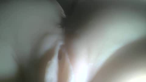 Snapshot of protecbuzz chatting on February 2026 12:42:02 AM needtocum online show from February 2026 12:42:02 AM