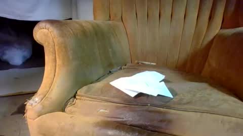 pspee313 online show from February 2026 02:40:02 PM