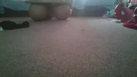 publicpantiewearer online show from March 2026 01:01:02 AM