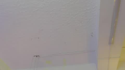 Snapshot of pucca7 chatting on May 2026 12:13:02 PM Pucca online show from May 2026 12:13:02 PM