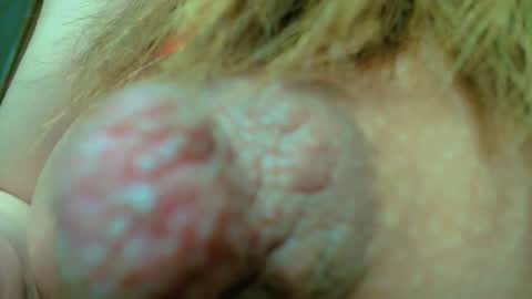 Nayaa Nay 3 online show from January 2025 08:11:02 PM