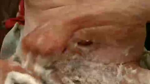 pulepower online show from November 2025 09:09:02 AM