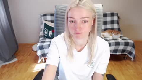 Polly online show from May 2026 05:34:02 AM