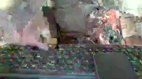 pup_y online show from January 2026 01:16:02 PM