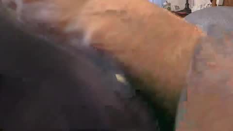 purdyguy7777 online show from February 2026 02:15:02 PM