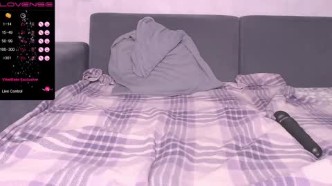 Snapshot of pussy_sladusy chatting on January 2025 02:30:02 PM Nina online show from January 2025 02:30:02 PM